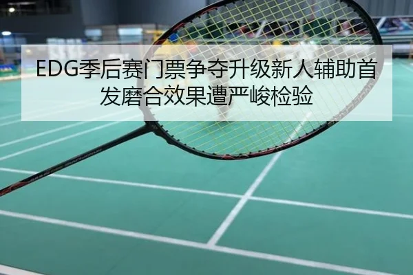 EDG季后赛门票争夺升级新人辅助首发磨合效果遭严峻检验