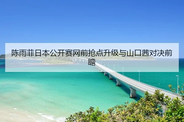 陈雨菲日本公开赛网前抢点升级与山口茜对决前瞻